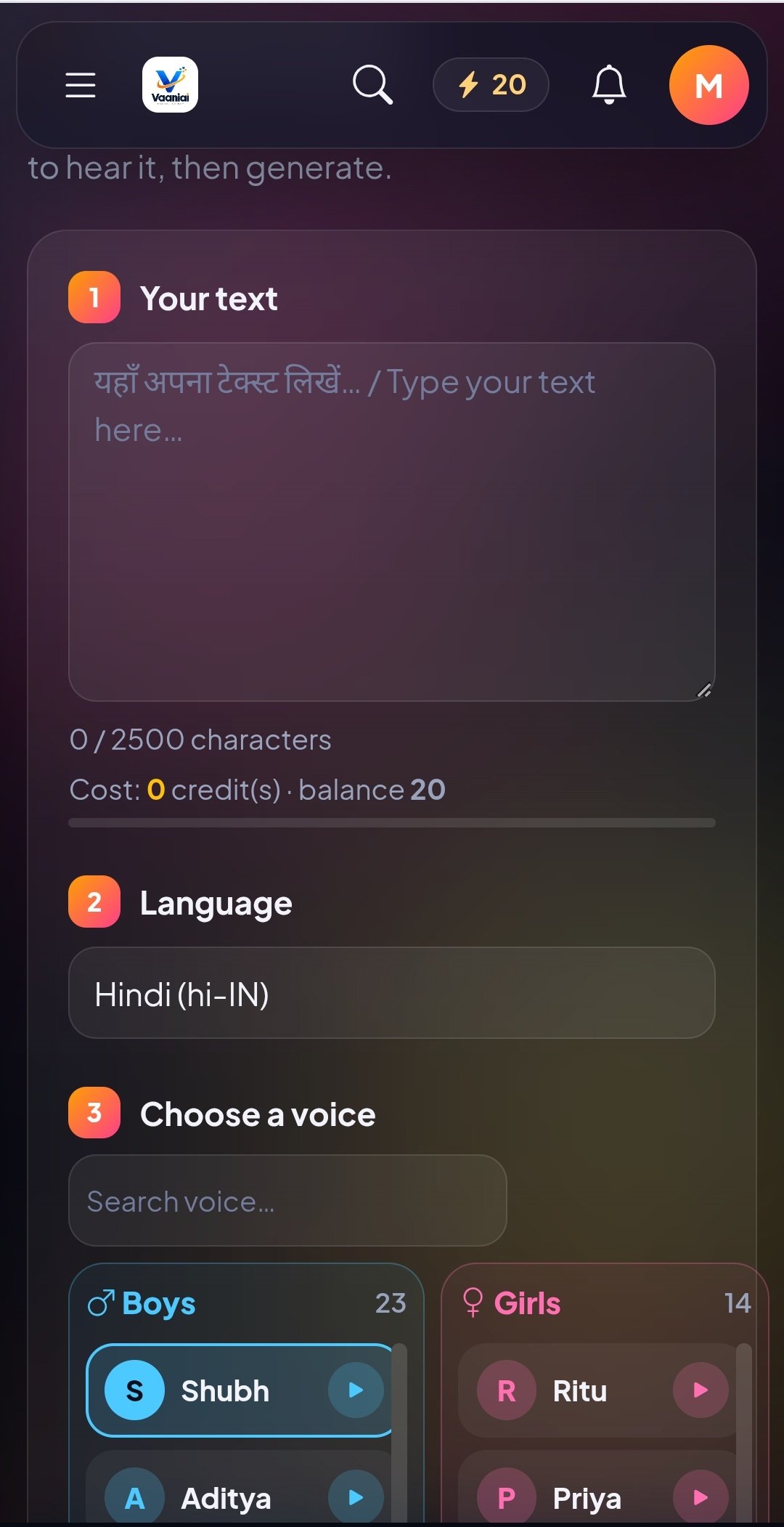 Vaani AI voice — image 2